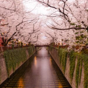 Free! List of Saved Places in Google Maps: Nakameguro, Tokyo