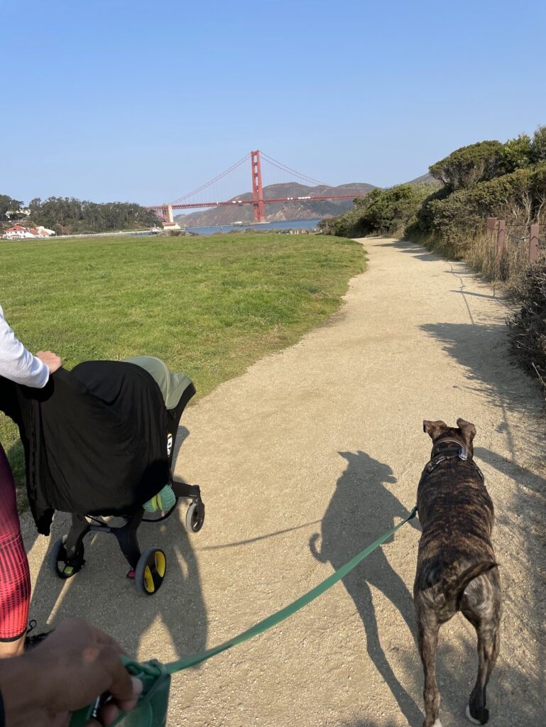 Walking along a path in Crissy Field in San Francisco's Presidio